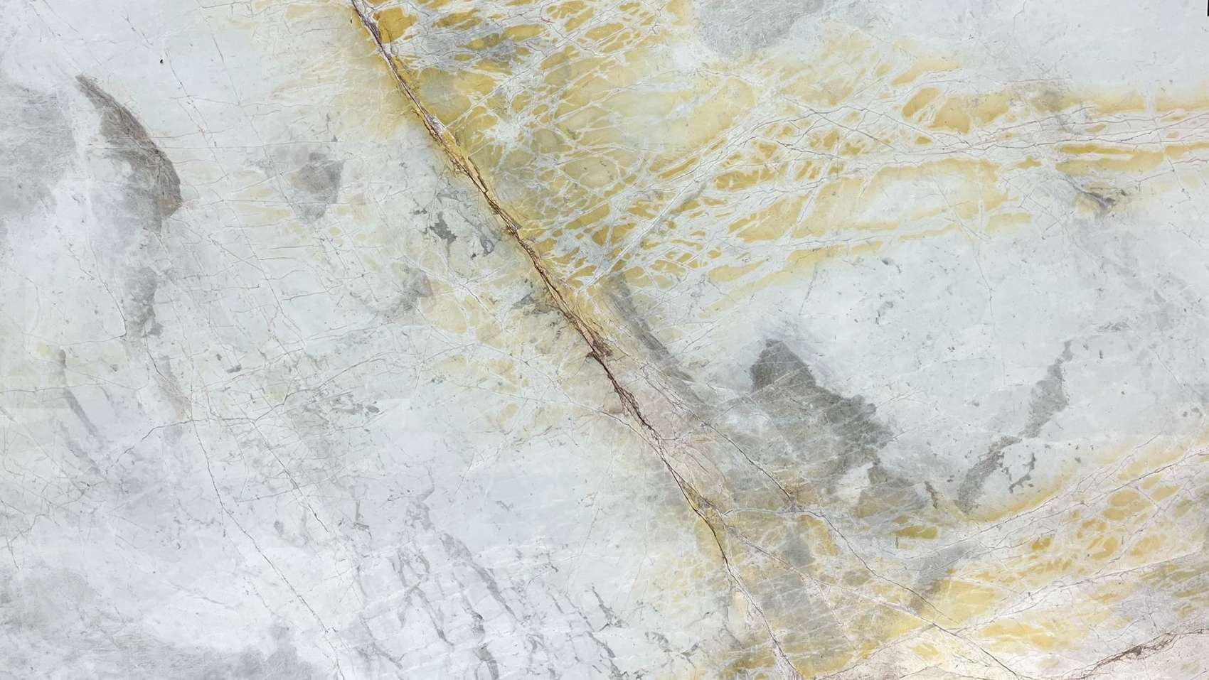 albino gold