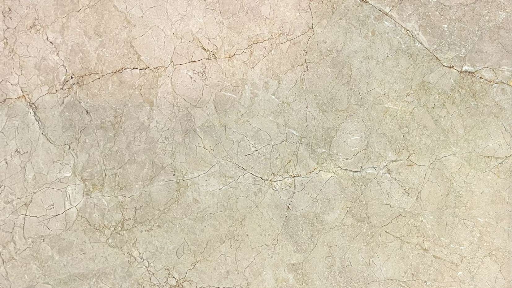 bracia beige
