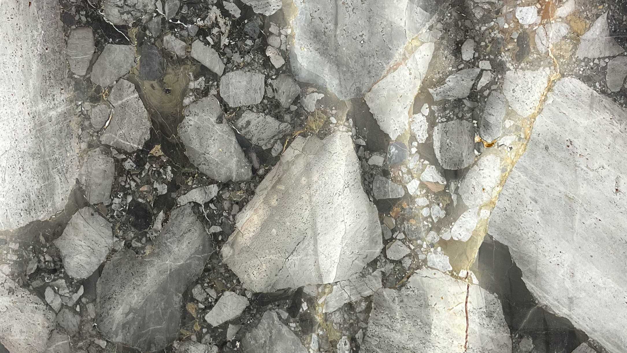 grey arbascatto