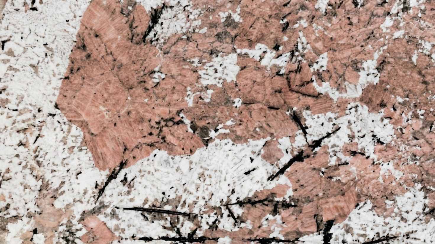alaska pink 3
