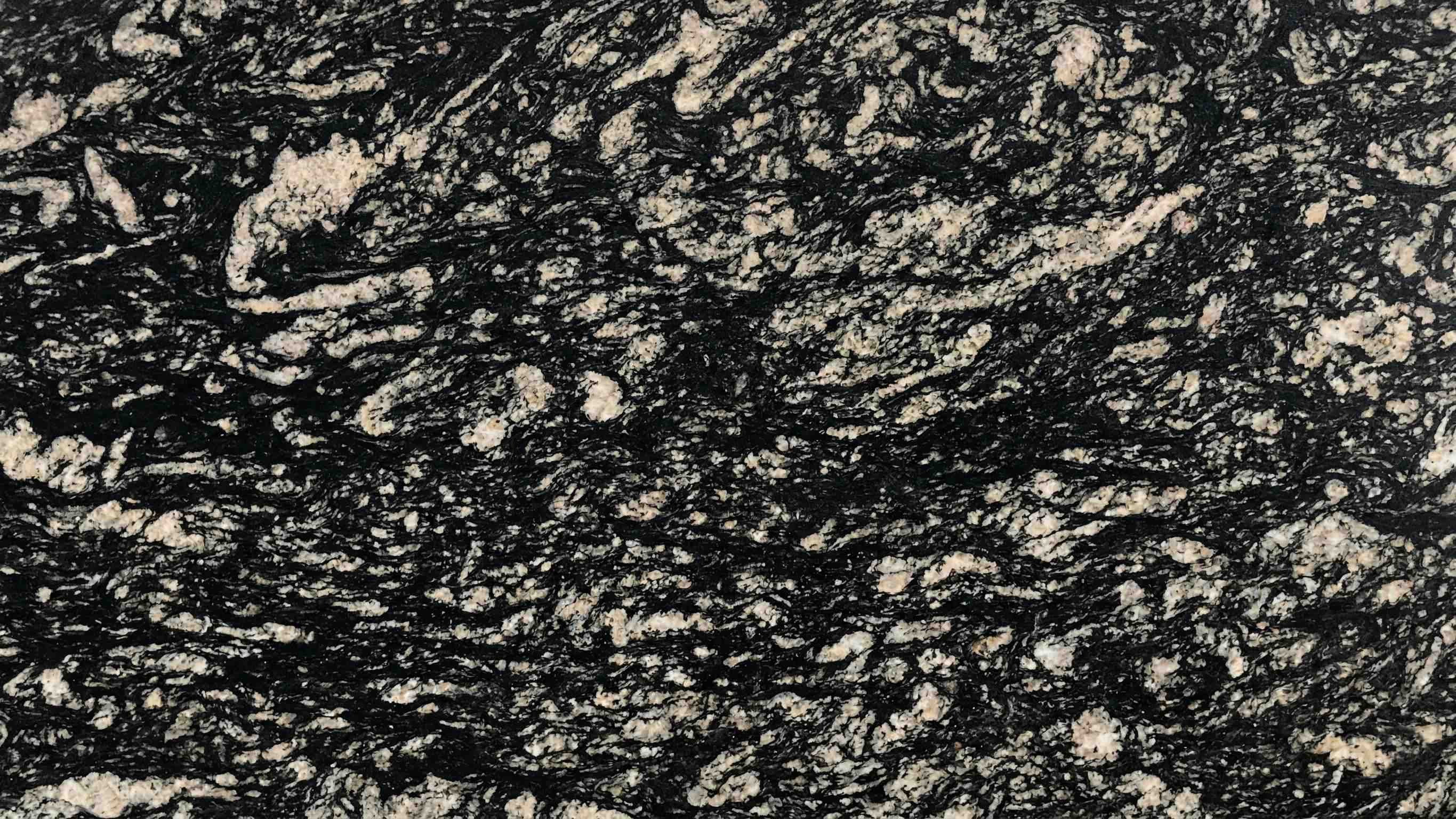 bagerah black