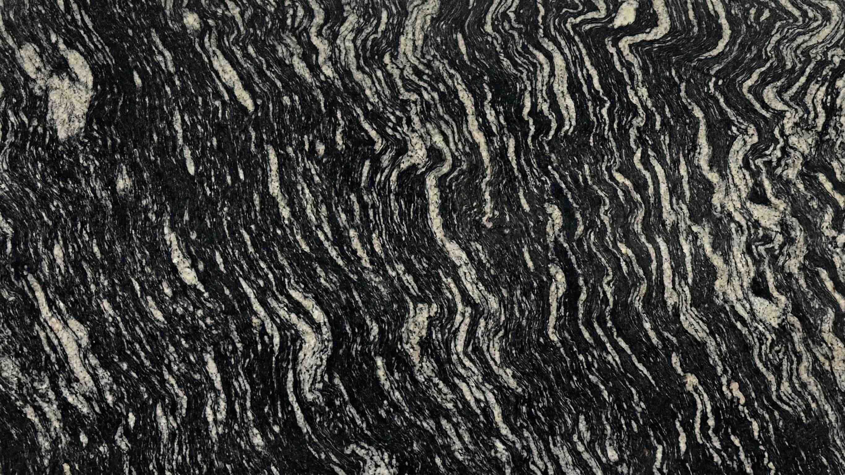 bijwad black 2