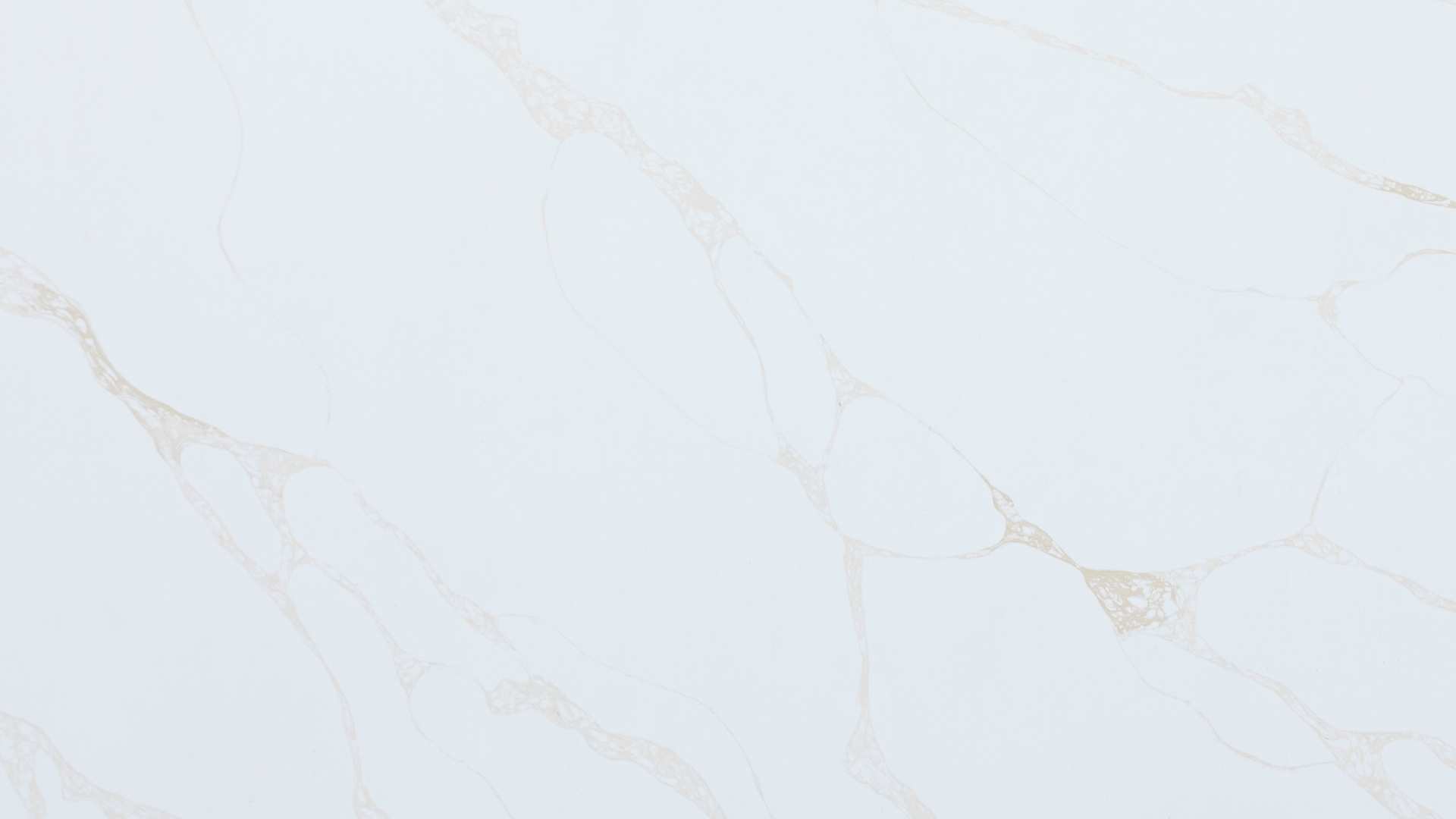 Calcutta Lava White